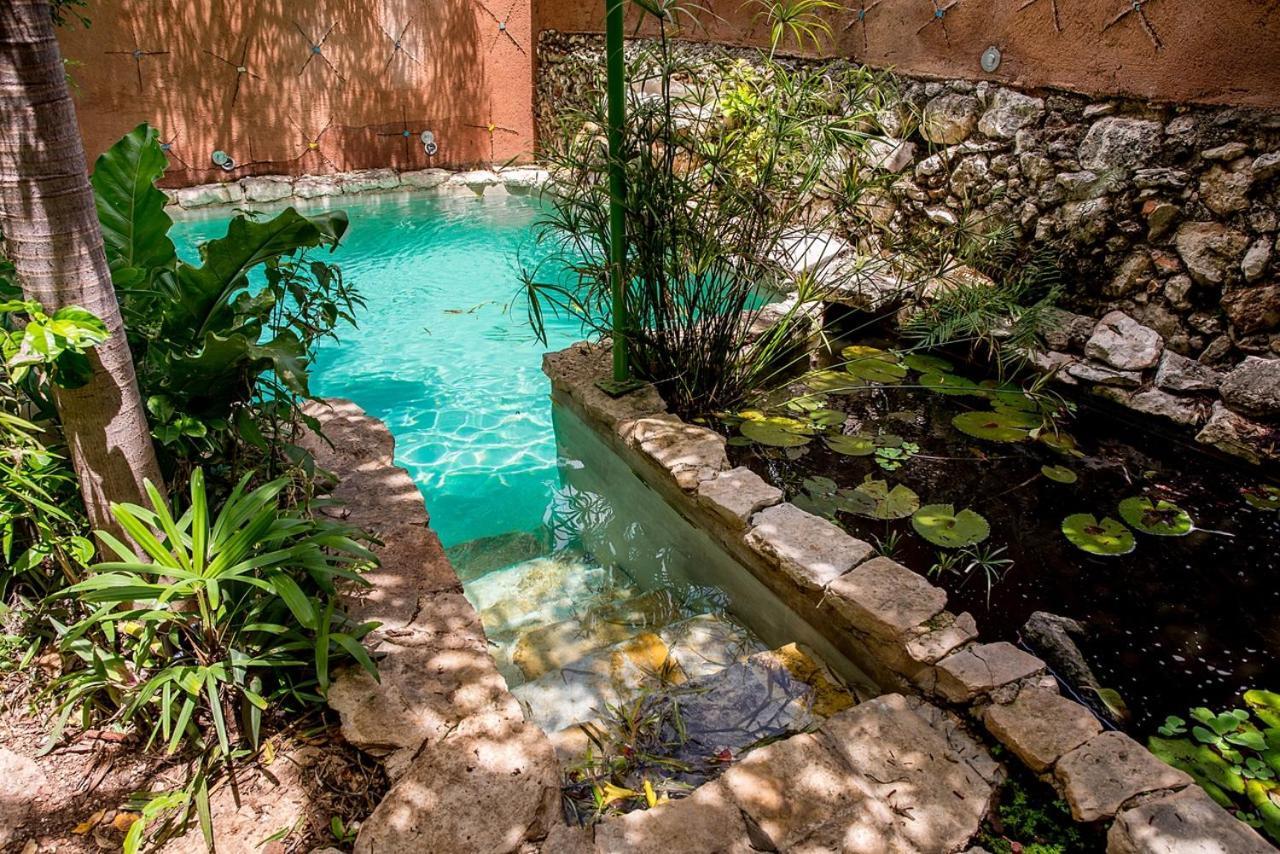 La Selva By Majikal B&B Mérida Kültér fotó