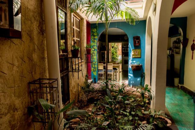 La Selva By Majikal B&B Mérida Kültér fotó