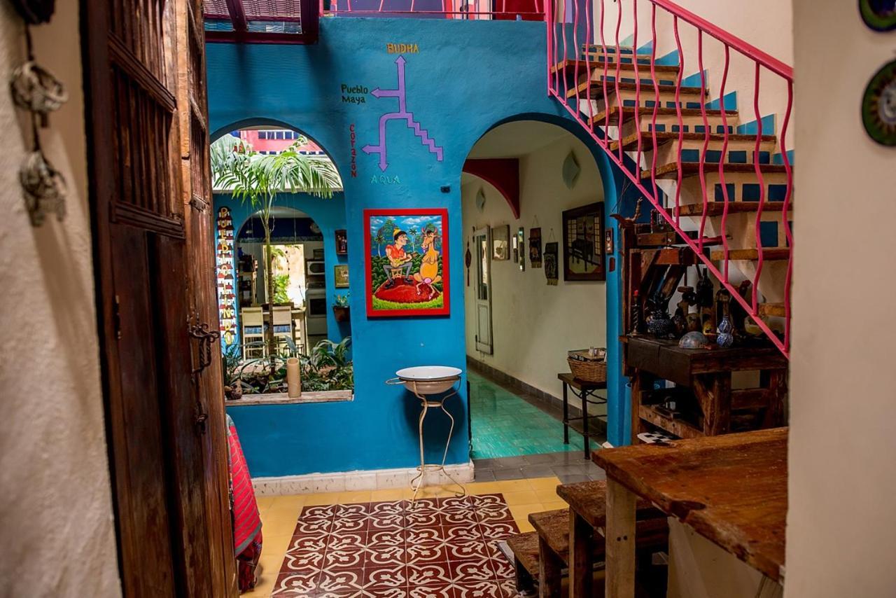 La Selva By Majikal B&B Mérida Kültér fotó