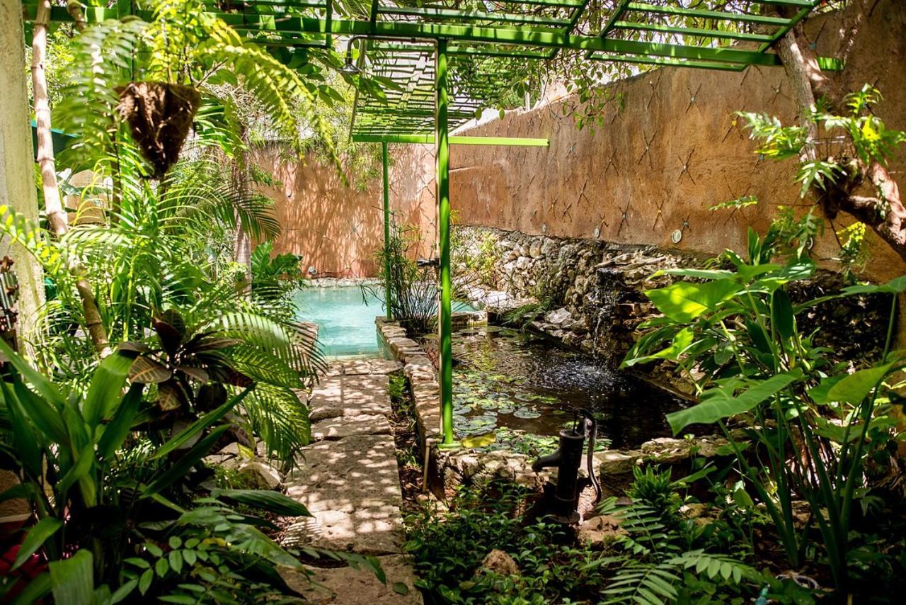 La Selva By Majikal B&B Mérida Kültér fotó