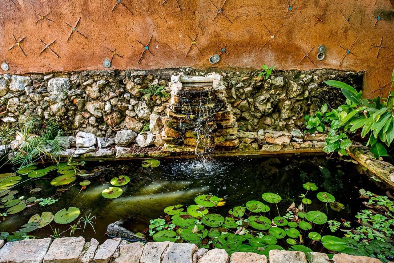 La Selva By Majikal B&B Mérida Kültér fotó
